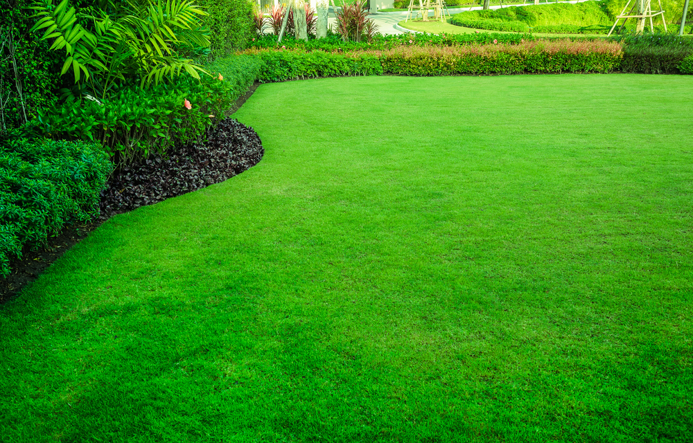 Reviving Your Lawn this Spring: Mowing Low and Topdressing for Success